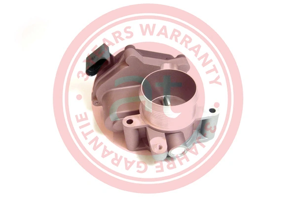 Throttle Body